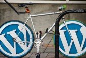 WordPress Website 2024- A Simplified Version For Newbies