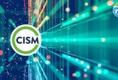 Real Life CISM Domain 1 Practice Quiz with Explanations