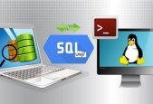 Get Expertise in Database Testing(SQL) + Linux for Testers