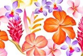 Procreate Illustrate Tropical Flowers
