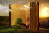 45 Day Novel (The Prolific Writer Academy)