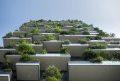 Green walls and Green roofs