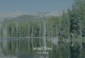 Mirror, mirror on the wall Improve your self-awareness
