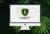 MongoDB The Beginners Bootcamp