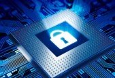 IT Security Gumbo- Vulnerability Management Analysis