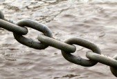 Search Engine Optimization- Indepth Link building for SEO