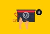 WordPress Website 2019 HTTPS, Elementor Futurio Free Theme