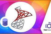 Microsoft SQL Server Backup and Recovery Course