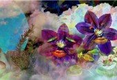 Ayahuasca and Other Native American Teaching Plants