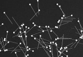 The Complete Recurrent Neural Network with Python Course
