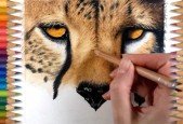 Colored Pencil Course