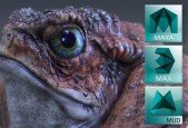 3D Animation Modeling Master Class - Beginner to Advanced