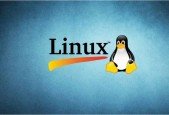 Linux administrator commands- Practical sessions