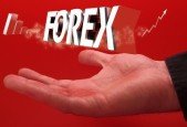 Forex Trading Mastery- Stop Losing, Start Winning Vol.1