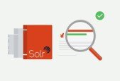 Introduction to Apache Solr