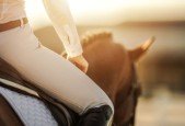 Optimize your Horse Coaching to Pro Status Private Lessons