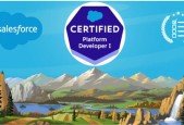 Salesforce Platform Developer PD 1 Practice Tests 6 Pack !
