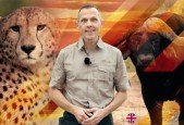 Resilient like a lion build boost a resilience mindset