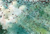 Open source GIS remote sensing for conservation (Beginner)
