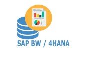 SAP BW4HANA CERTIFICATION TEST Based on C_BW4HANA_1420