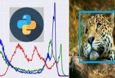Python for Signal and Image Processing Master Class