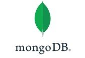 MongoDB beginner guide 2023