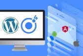 WordPress Rest API and Ionic 4 (Angular) App With Auth