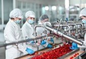 Certified Food Equipment Designer