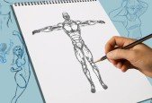 LE DESSIN ANATOMIQUE- Le cours complet