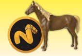 Horse modelling in Modo 3D