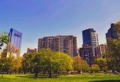 Trees in Urban Environments