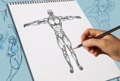 How to draw ANATOMY