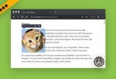 Advance CSS Shapes- Next Generation Websites (2022 Edition)