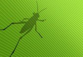Parametric Design with Grasshopper FULL BEGINNER TO ADVANCED