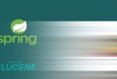 Spring Boot ( Java ) with Lucene