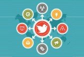 Twitter Marketing- How I Got 18.000 Followers in One Month!