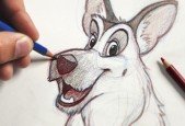 The Ultimate Animal Drawing Course beginner to advanced