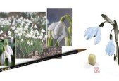 Snowdrop Flower in classical Chinese Painting
