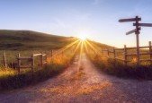 Clarity of PurposeDon Live Life Without It