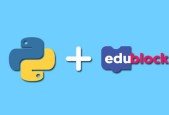 Learn Python Turtle Using Block Coding