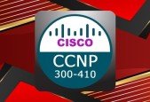 Cisco CCNP Enterprise ENARSI (300-410) Practice Exam - 2024