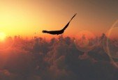 How To Get Clarity And Find Your Purpose In Life
