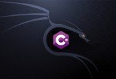 Offensive C#