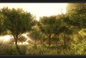 Create Foliage and Trees for Games or Film using SpeedTree
