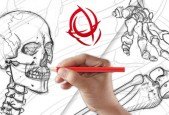 Anatomy Art School- Complete Skeletal Drawing Course