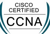200-301 CCNA Exam Practice Questions