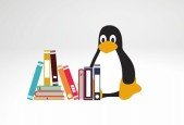 Linux Preparatory Exam For Higher Certificates in Management