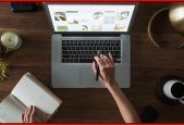 WordPress. Basic and Advanced. No coding. 2024