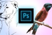 Learn How to Draw and Paint in Photoshop_1