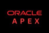 Oracle APEX Professional (2024)